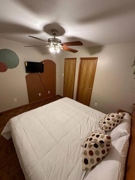 4br With Pool, Shopping & * McAllen